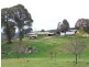 1420 Batlow Road, Tumbarumba NSW 2653