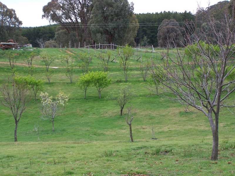 1420 Batlow Road, Tumbarumba NSW 2653