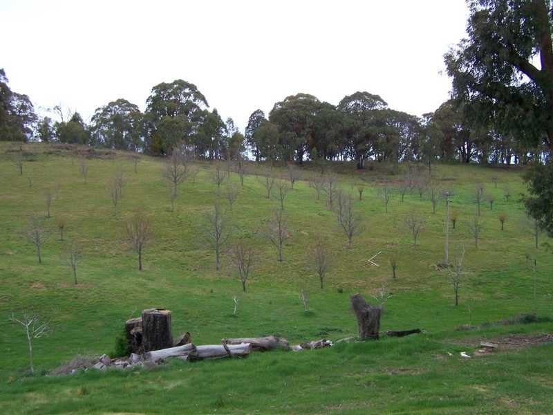 1420 Batlow Road, Tumbarumba NSW 2653