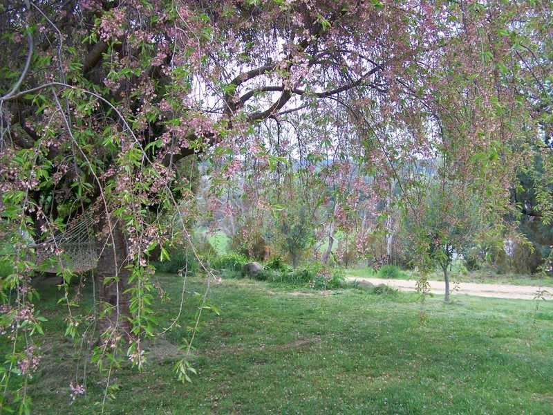 1420 Batlow Road, Tumbarumba NSW 2653