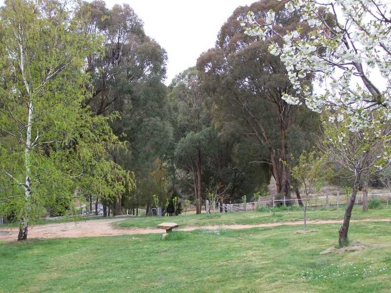 1420 Batlow Road, Tumbarumba NSW 2653