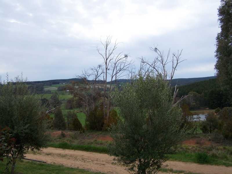 1420 Batlow Road, Tumbarumba NSW 2653