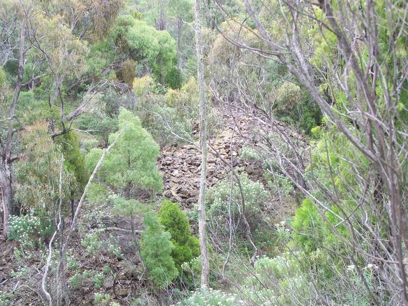 1420 Batlow Road, Tumbarumba NSW 2653