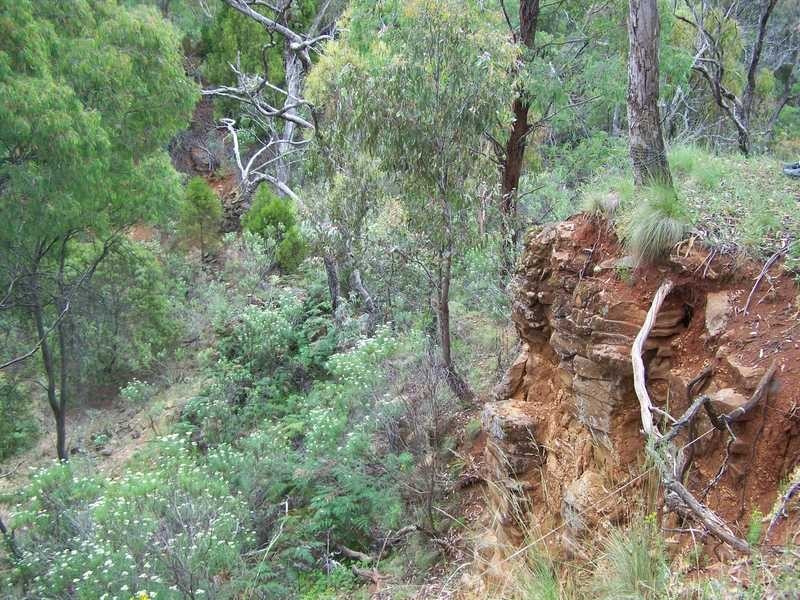 1420 Batlow Road, Tumbarumba NSW 2653