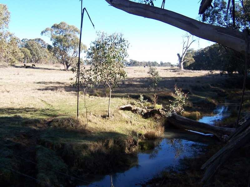 Lot 103 Albury Street, Tumbarumba NSW 2653