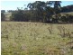 Lot 103 Albury Street, Tumbarumba NSW 2653