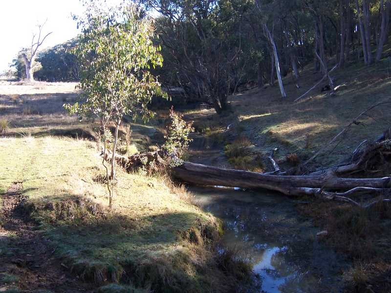 Lot 103 Albury Street, Tumbarumba NSW 2653