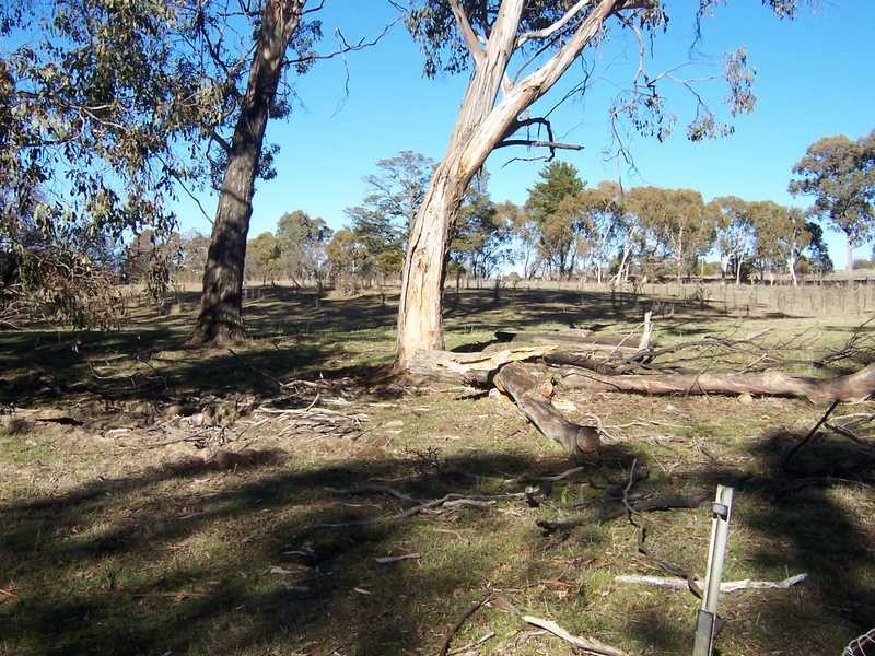 Lot 103 Albury Street, Tumbarumba NSW 2653