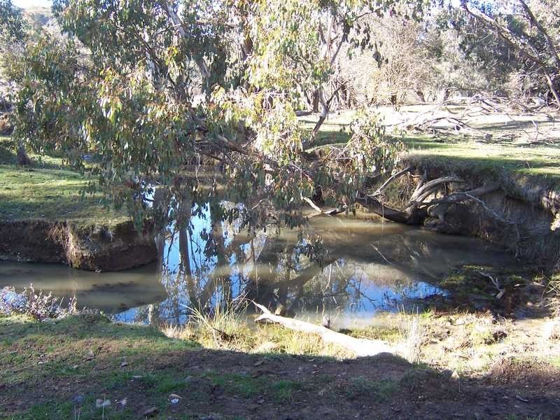 Lot 103 Albury Street, Tumbarumba NSW 2653