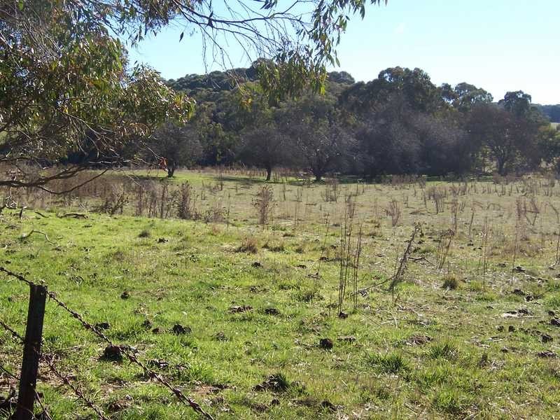 Lot 103 Albury Street, Tumbarumba NSW 2653