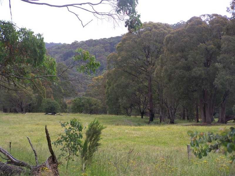 69 Bago Forest Road, Tumbarumba NSW 2653
