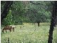 69 Bago Forest Road, Tumbarumba NSW 2653