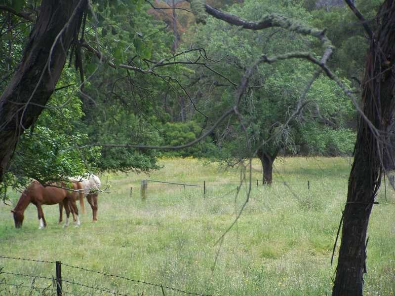 69 Bago Forest Road, Tumbarumba NSW 2653
