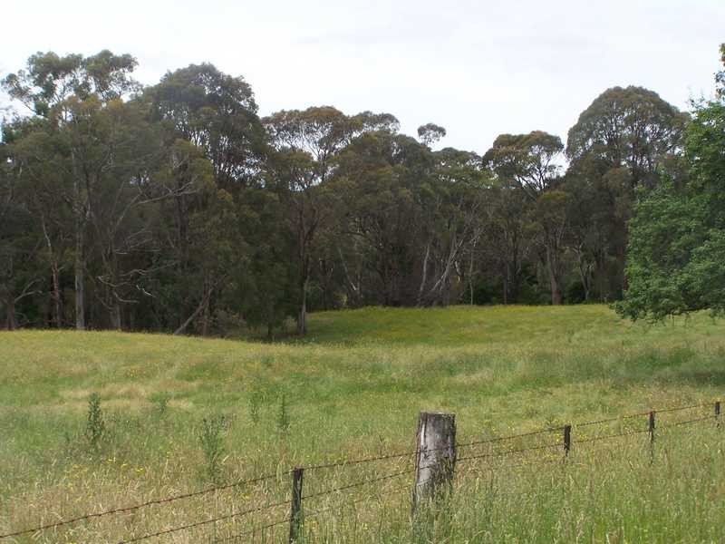 69 Bago Forest Road, Tumbarumba NSW 2653