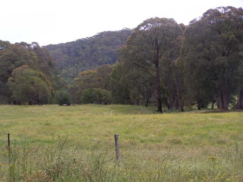 69 Bago Forest Road, Tumbarumba NSW 2653