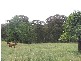 69 Bago Forest Road, Tumbarumba NSW 2653