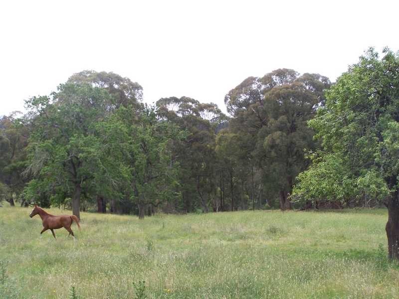 69 Bago Forest Road, Tumbarumba NSW 2653