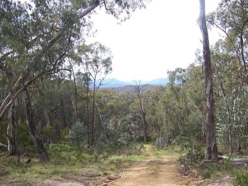 Lot 6 Elliot Way, Tumbarumba NSW 2653