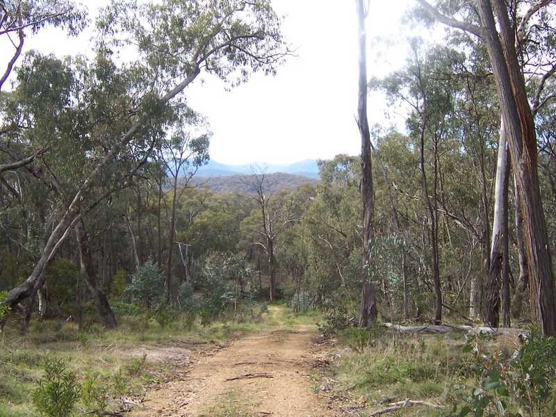 Lot 6 Elliot Way, Tumbarumba NSW 2653