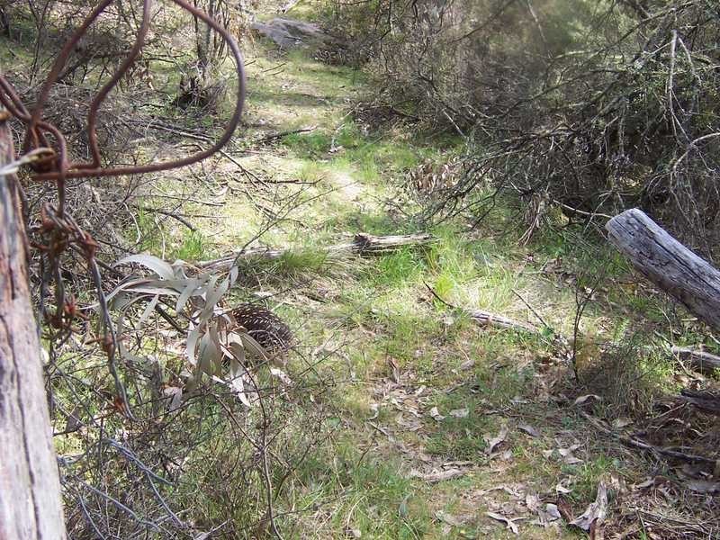 Lot 6 Elliot Way, Tumbarumba NSW 2653