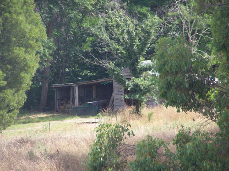 215 Bago Forest Road, Tumbarumba NSW 2653