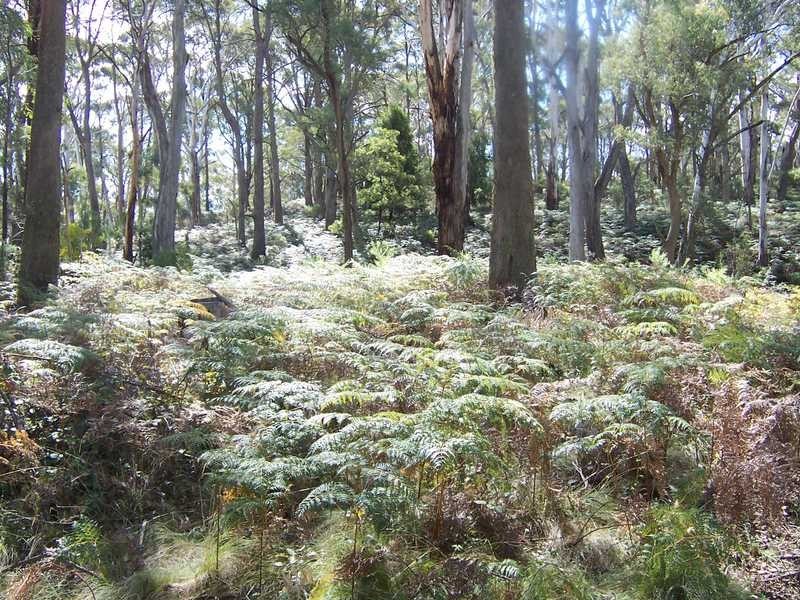 Lot 573 Batlow Road, Tumbarumba NSW 2653