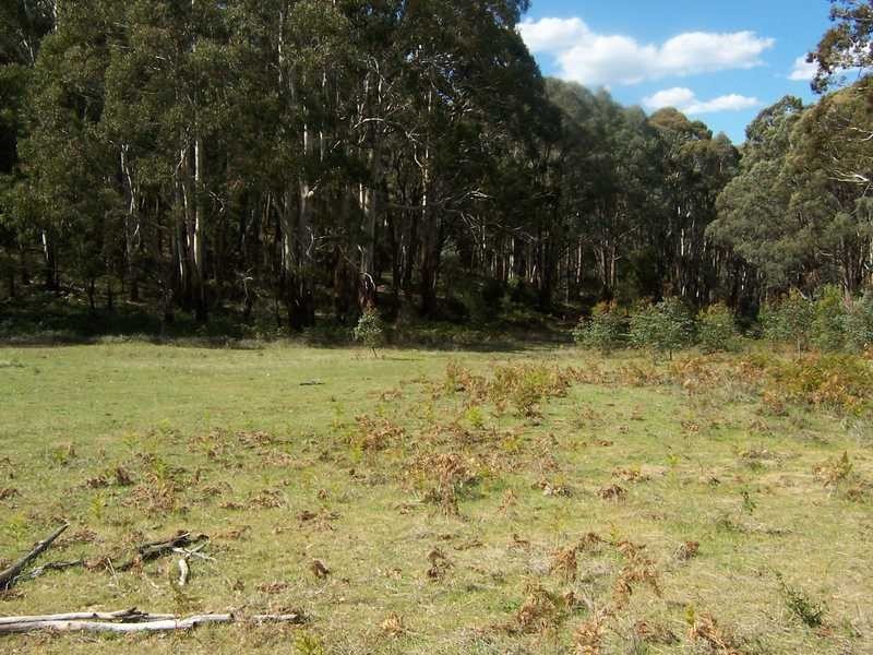 Lot 572 Batlow Road, Tumbarumba NSW 2653