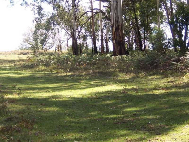 Lot 572 Batlow Road, Tumbarumba NSW 2653