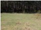 Lot 572 Batlow Road, Tumbarumba NSW 2653