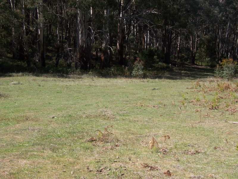 Lot 572 Batlow Road, Tumbarumba NSW 2653