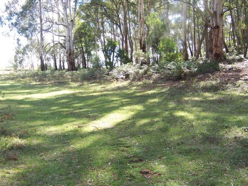 Lot 572 Batlow Road, Tumbarumba NSW 2653