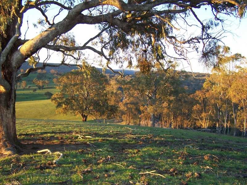 Lot 1 – DP1129524 Tooma Road, Tumbarumba NSW 2653