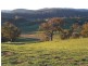 Lot 1 – DP1129524 Tooma Road, Tumbarumba NSW 2653
