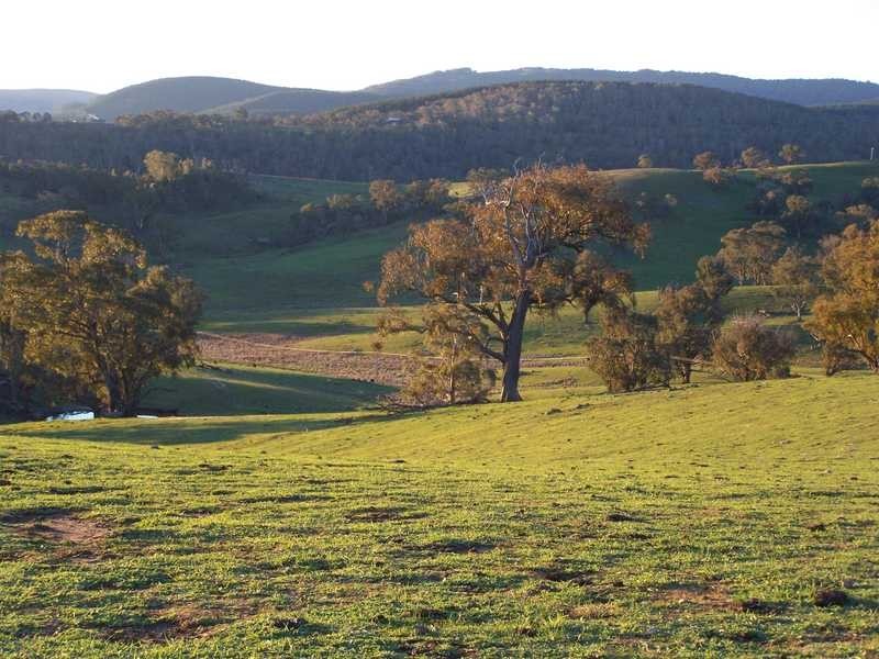 Lot 1 – DP1129524 Tooma Road, Tumbarumba NSW 2653