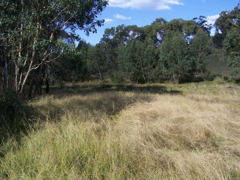 131 Batlow Road, Tumbarumba NSW 2653