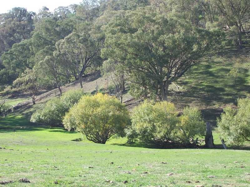 0 Walteela Road Mannus Valley, Tumbarumba NSW 2653