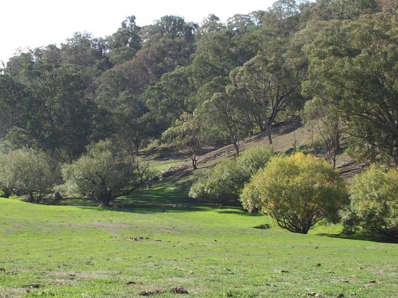 0 Walteela Road Mannus Valley, Tumbarumba NSW 2653