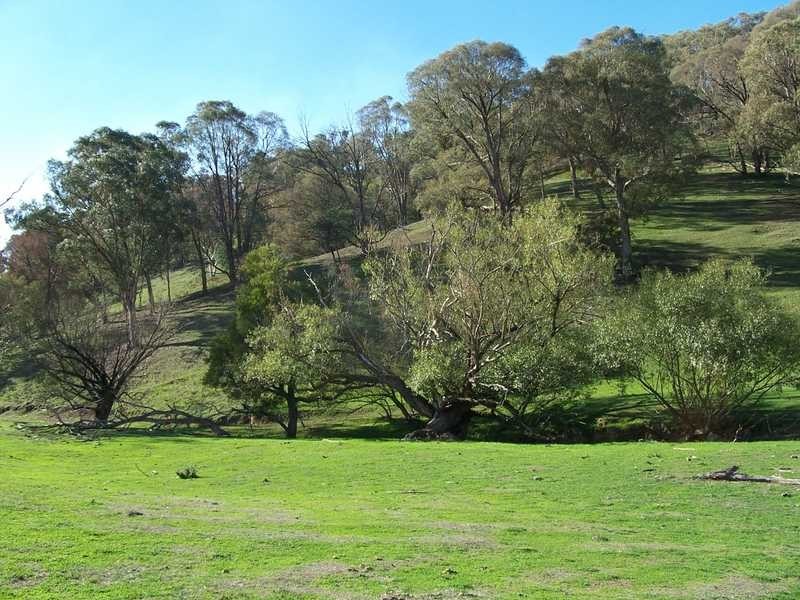 0 Walteela Road Mannus Valley, Tumbarumba NSW 2653