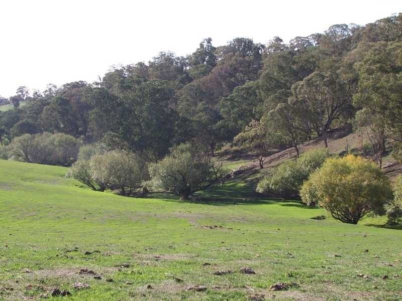 0 Walteela Road Mannus Valley, Tumbarumba NSW 2653