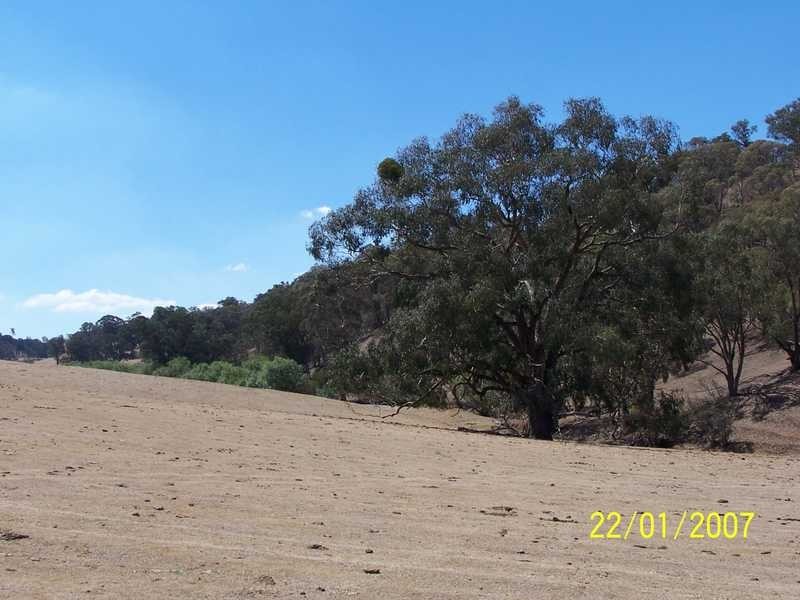 0 Walteela Road Mannus Valley, Tumbarumba NSW 2653