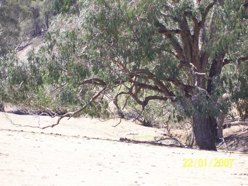 0 Walteela Road Mannus Valley, Tumbarumba NSW 2653