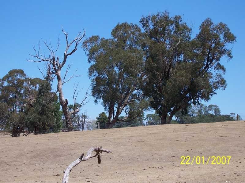 0 Walteela Road Mannus Valley, Tumbarumba NSW 2653