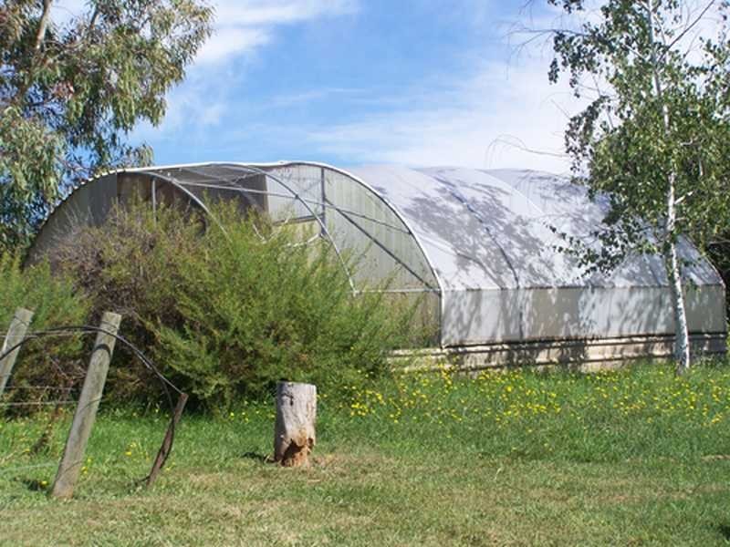 13 Bogong Street, Tumbarumba NSW 2653