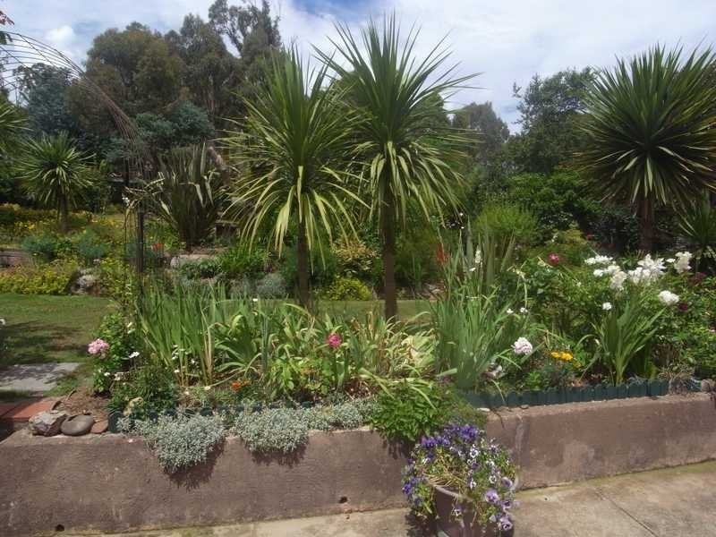 70 King Street, Tumbarumba NSW 2653