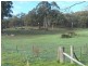 Lot 5 DP883621 Allawah Road, Tumbarumba NSW 2653
