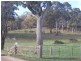 Lot 5 DP883621 Allawah Road, Tumbarumba NSW 2653