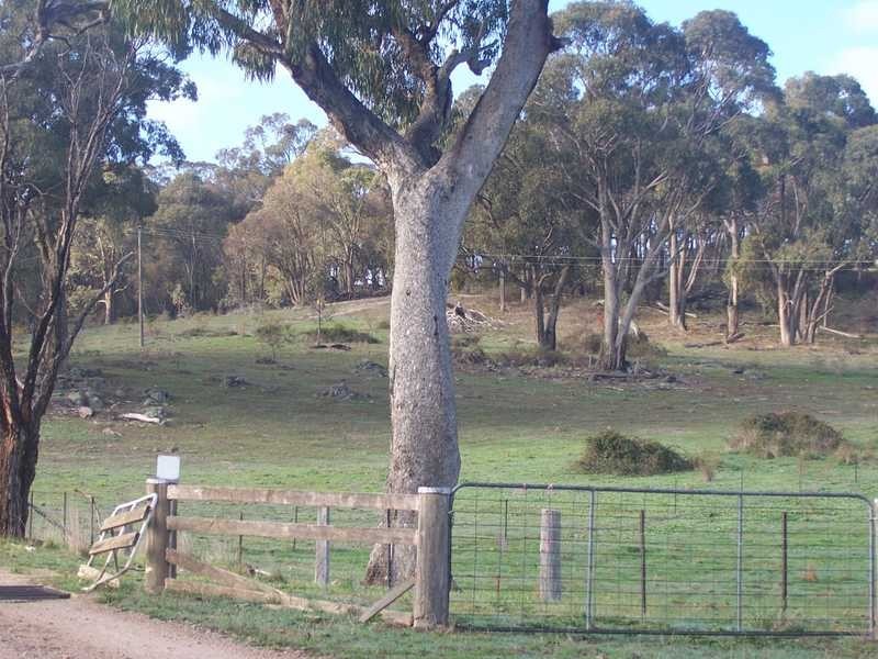Lot 5 DP883621 Allawah Road, Tumbarumba NSW 2653