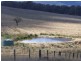 80 Camden Park Road, Tumbarumba NSW 2653