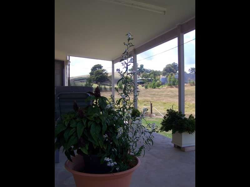 80 Camden Park Road, Tumbarumba NSW 2653