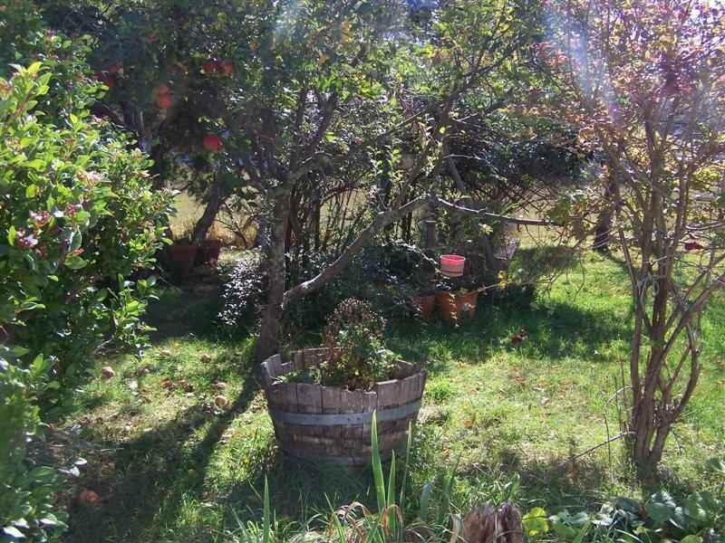 1593 Wagga Road, Tumbarumba NSW 2653